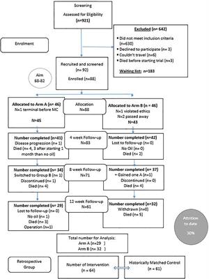 A Phase 2 Randomised Clinical Trial Assessing the Tolerability of Two Different Ratios of Medicinal Cannabis in Patients With High Grade Gliomas